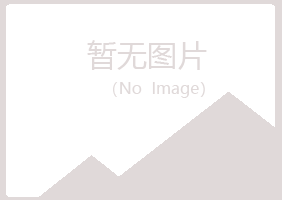 沁水县女孩会计有限公司